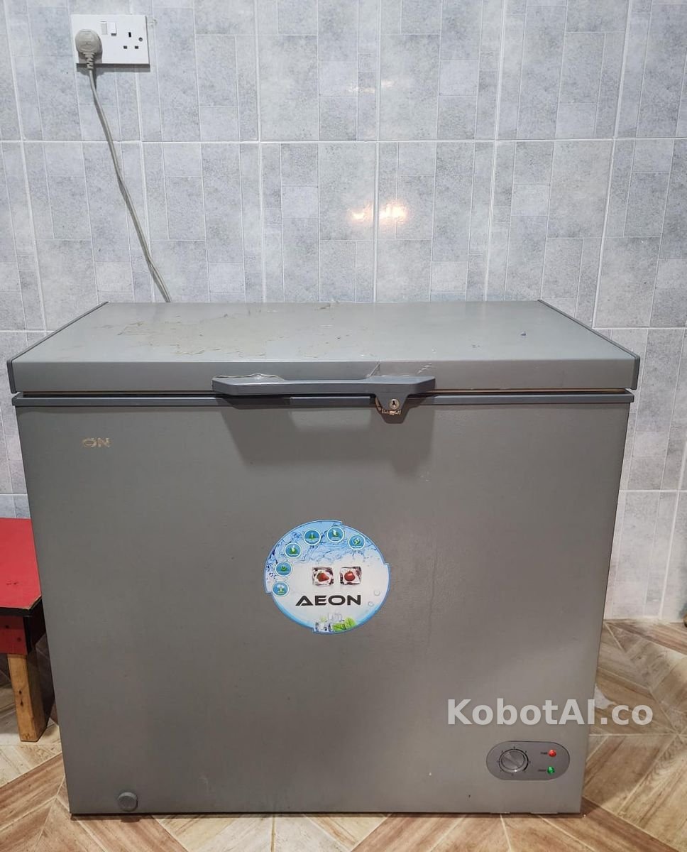 Aeon Deep Freezer 220L 2