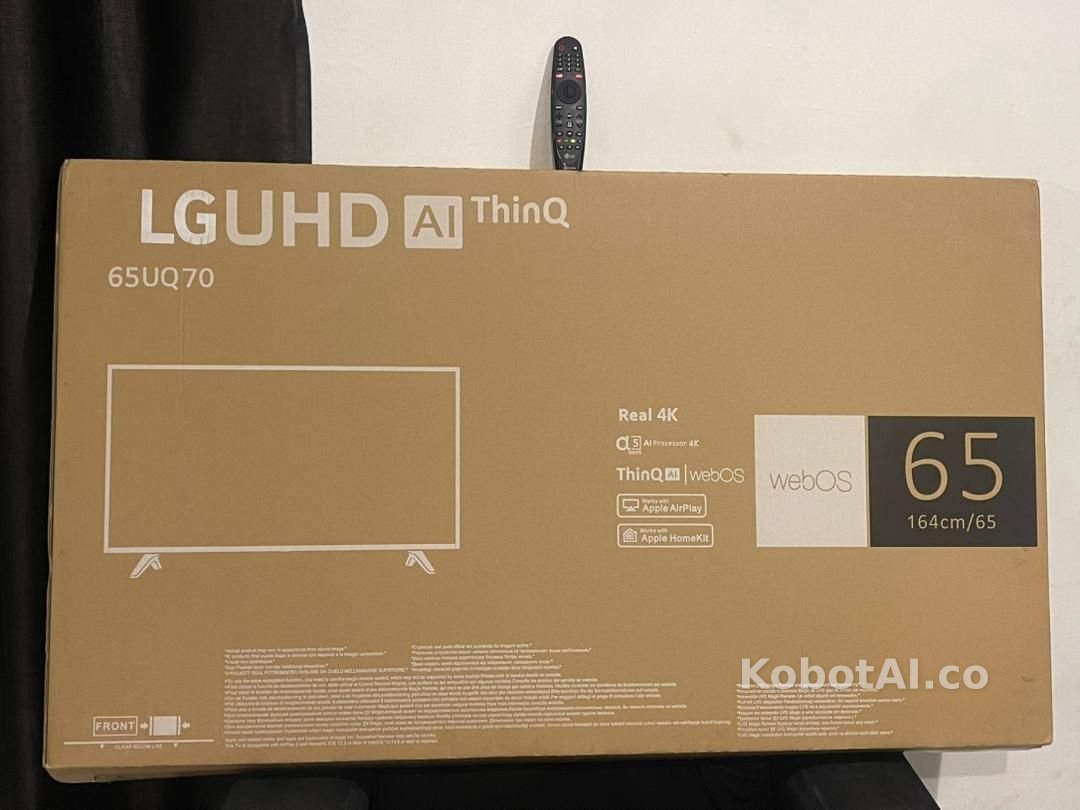 LG 65 Inch Smart TV