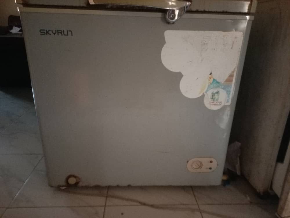 Skyrun Deep Freezer