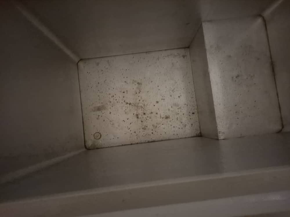Skyrun Deep Freezer 3