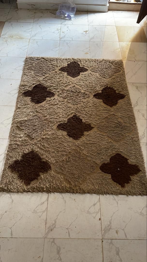4x6 Center Rug 2