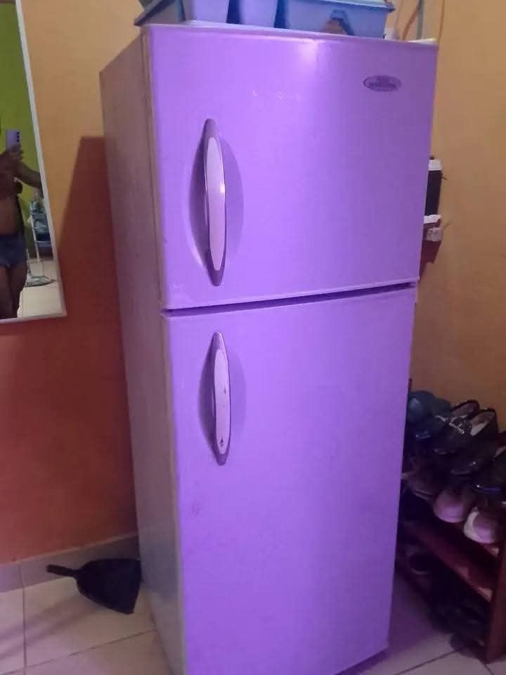 Double Door Refrigerator